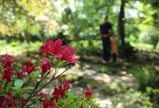 Photo of 2 people visiting burial plot