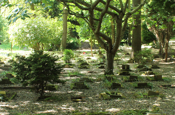 Image of Bluebell Woods Pet Cemetery plots